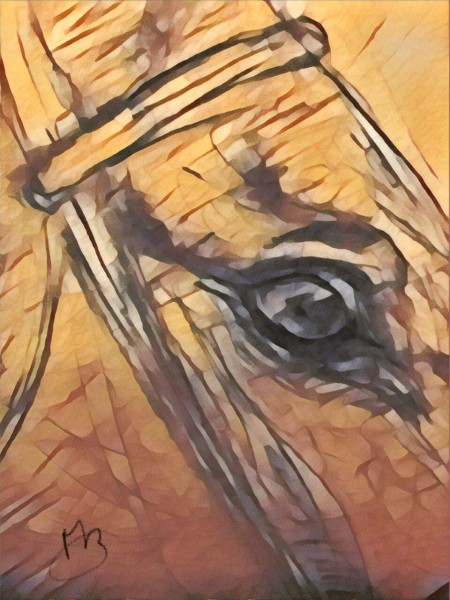 Photo de profil de mylenecaieberti