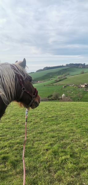 Photo de profil de mymy07