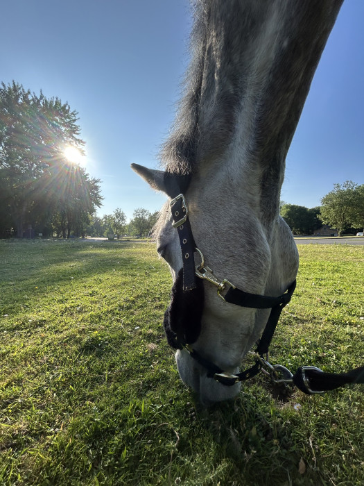 Photo de profil de mys_78190