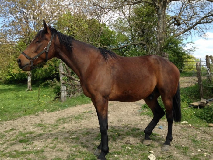 Photo de profil de nadia17