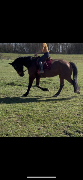 Photo de profil de nais.barr