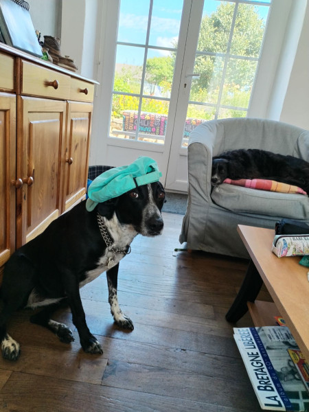 Photo de profil de nalanie35