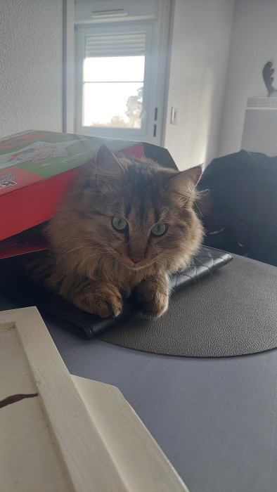 Photo de profil de nana0206