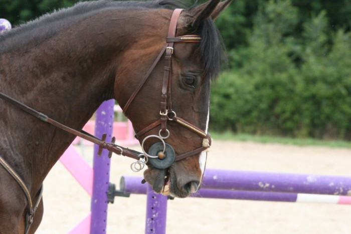 Photo de profil de nana22290