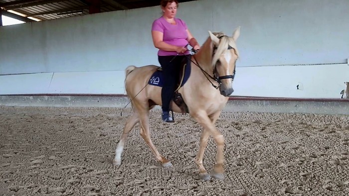 Photo de profil de nanalina