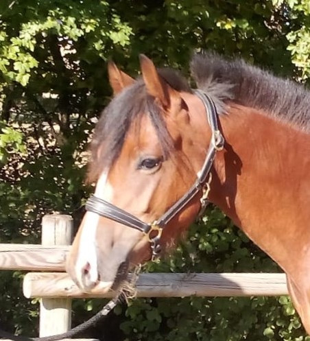 Photo de profil de nandax