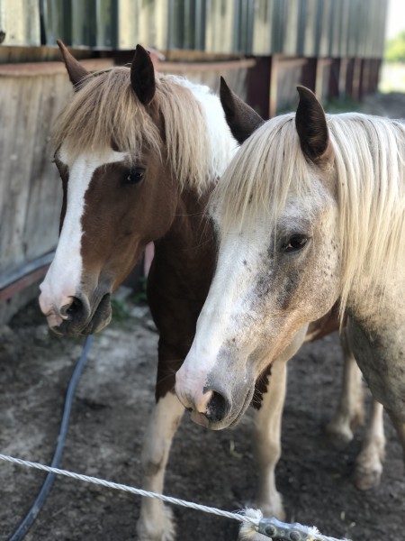 Photo de profil de nanie83