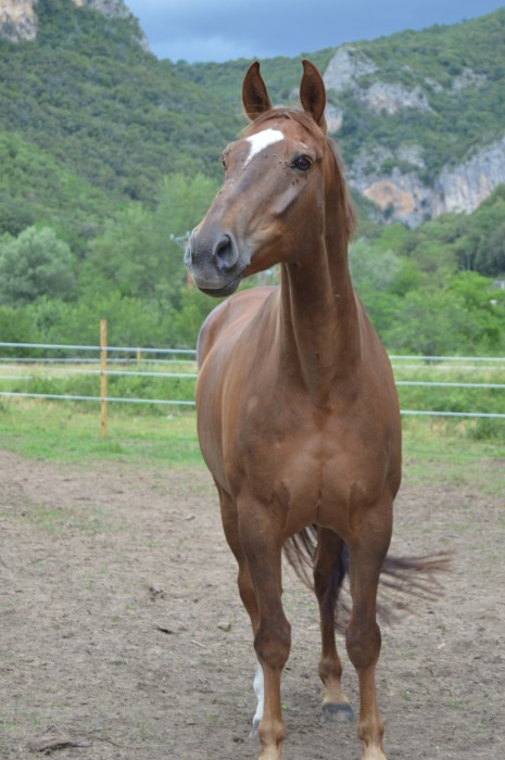 Photo de profil de nanolastef