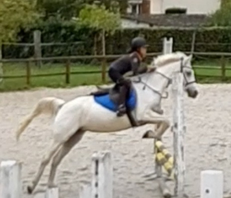 Photo de profil de nanou_cavaliere