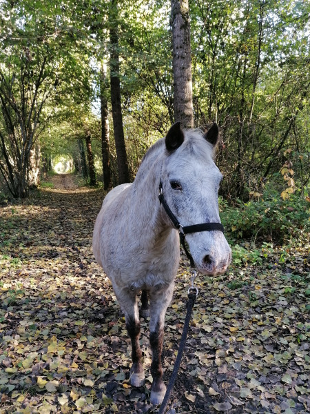 Photo de profil de nanourk