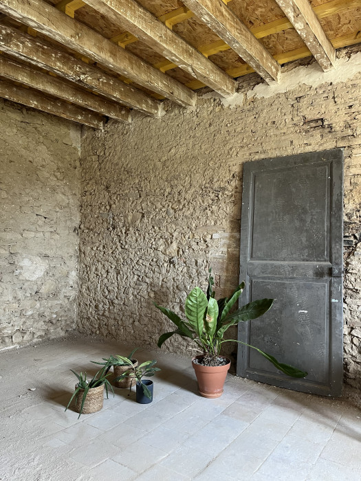 Photo de profil de naom