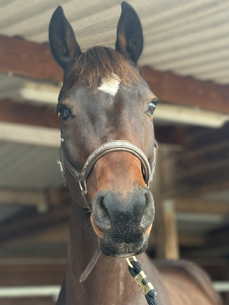 Photo de profil de narymel