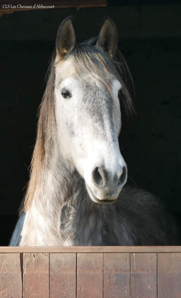 Photo de profil de natacha78