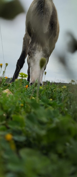 Photo de profil de natala