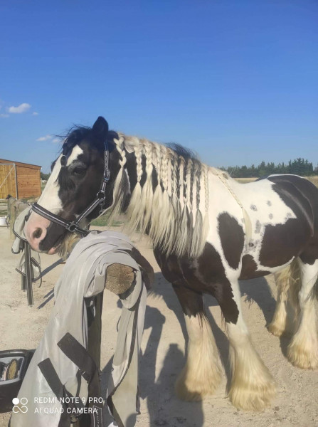 Photo de profil de nath344