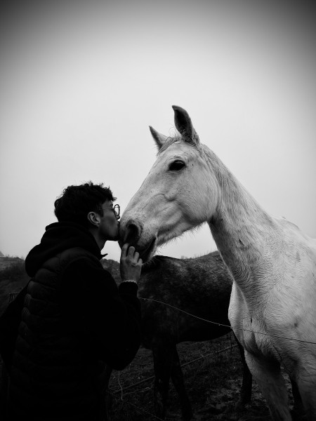 Photo de profil de nathan.rct