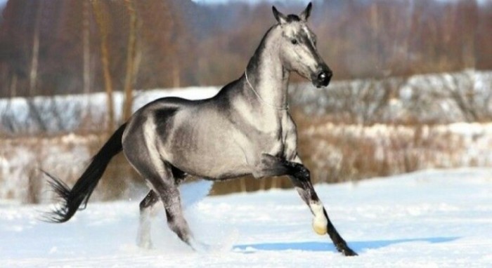 Photo de profil de nawel_stb