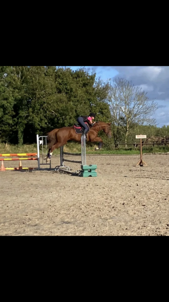 Photo de profil de nayaequitation