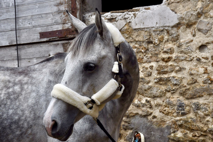 Photo de profil de nelly91
