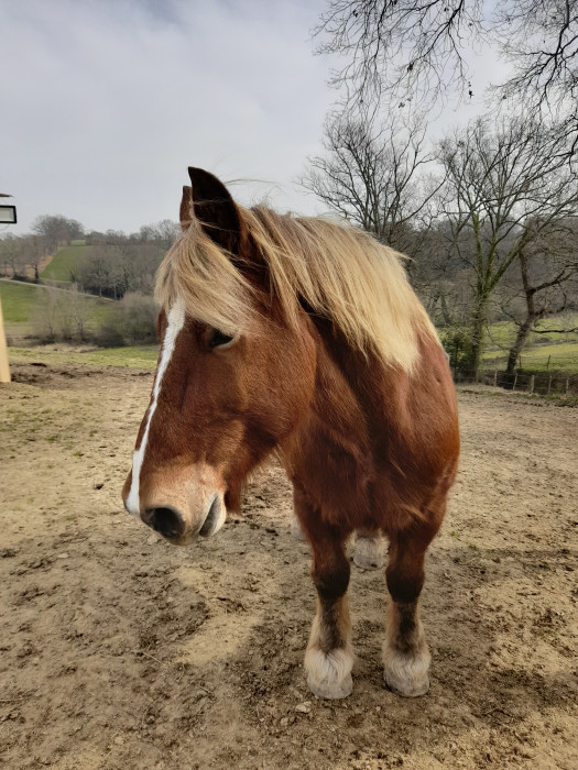 Photo de profil de nessquick