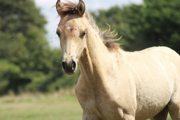 Photo de profil de newlookpastel