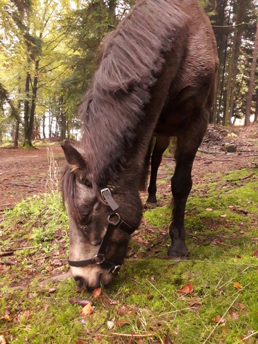 Photo de profil de niamh9