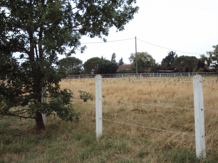 Photo de profil de nickyrose