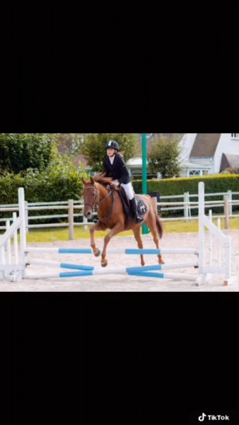 Photo de profil de nina_661.12347