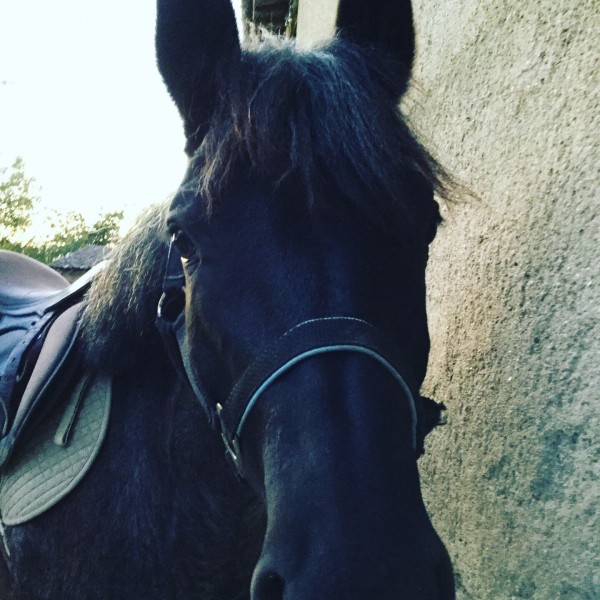 Photo de profil de ninadaumonttarn