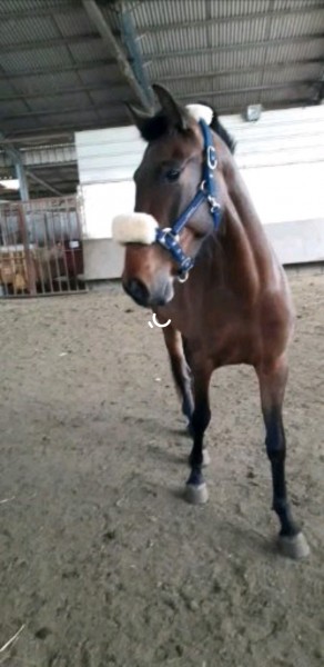 Photo de profil de nina.lvr