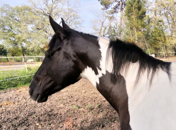 Photo de profil de ninieninie