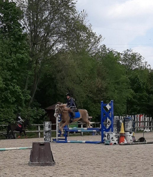 Photo de profil de nini_horses19