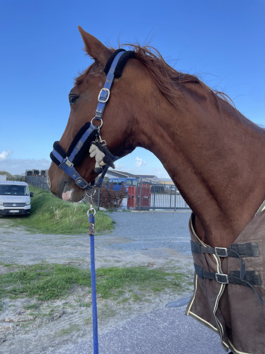 Photo de profil de ninon2712