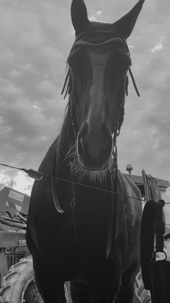 Photo de profil de ninon271210