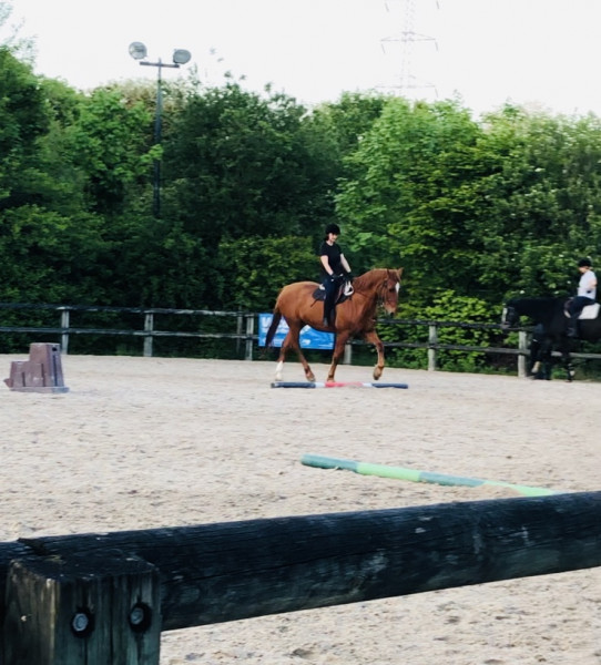 Photo de profil de ninon_ilesaint