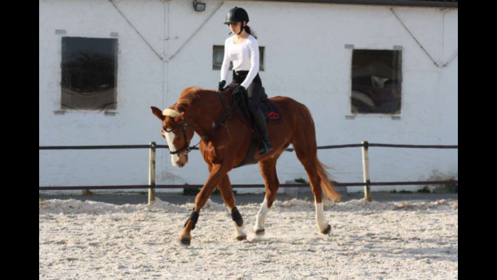 Photo de profil de noemie.08
