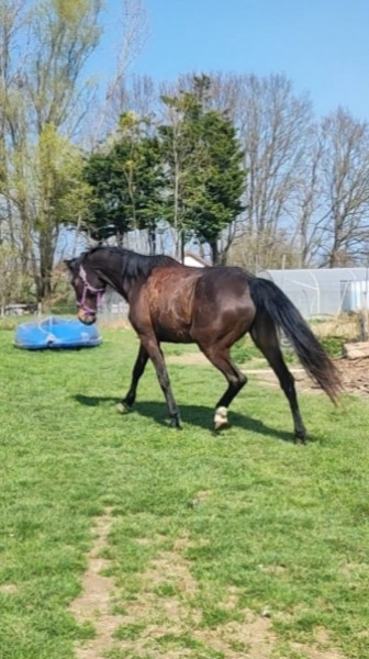 Photo de profil de noemiealina