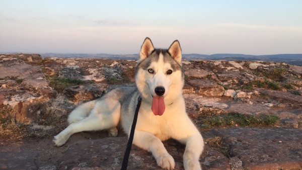 Photo de profil de noemiie67