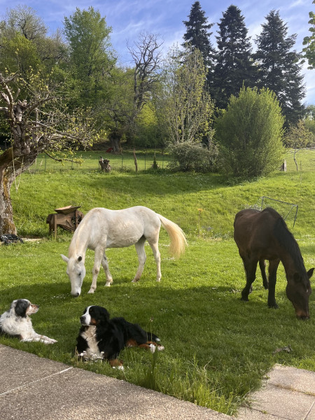 Photo de profil de noem.psnl