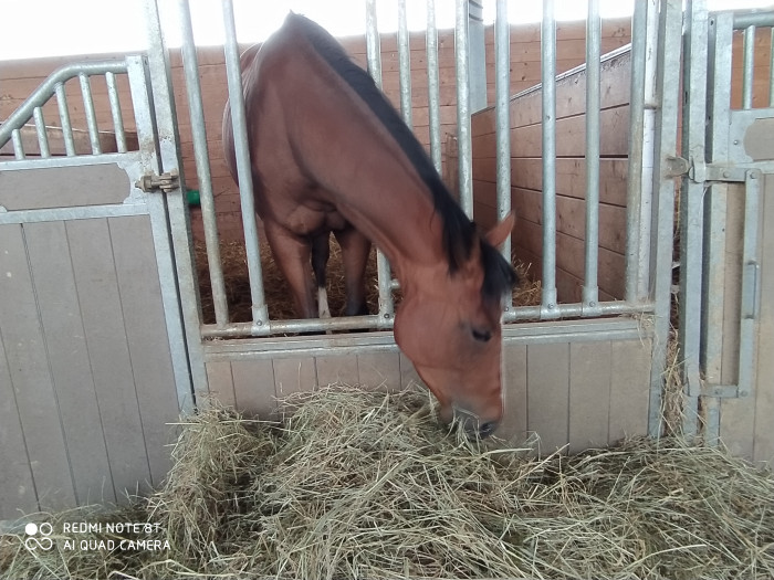 Photo de profil de nola33