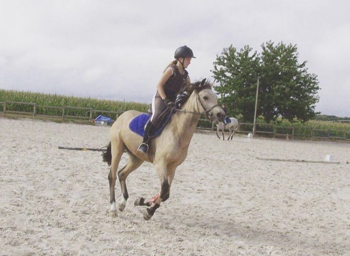 Photo de profil de nolwennd