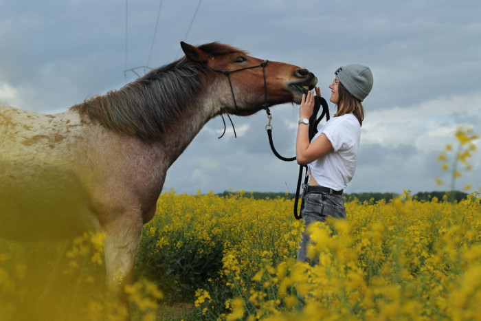 Photo de profil de nolwennh22