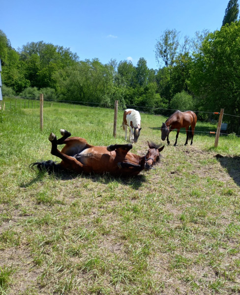 Photo de profil de nonole