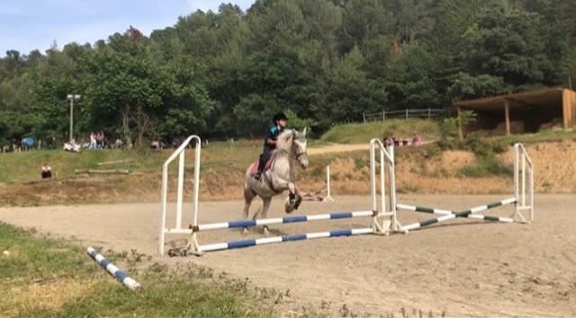 Photo de profil de noor_dubus