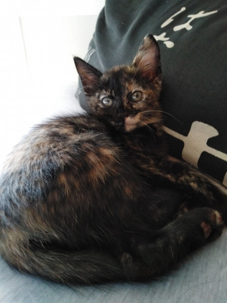 Photo de profil de nora76