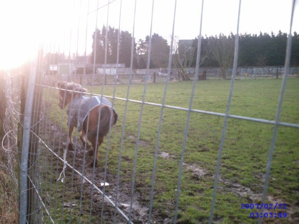 Photo de profil de noramar