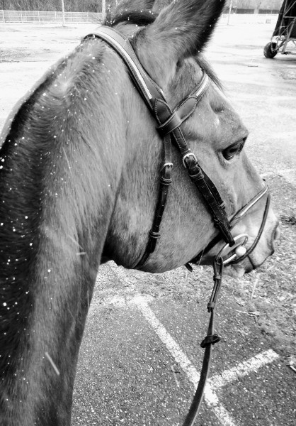 Photo de profil de nortonsasha