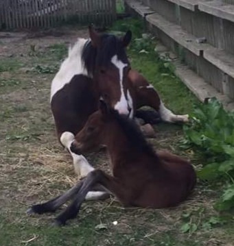 Photo de profil de notre.ferme9191