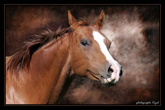 Photo de profil de nouchka_mabelle