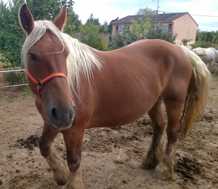 Photo de profil de novat55
